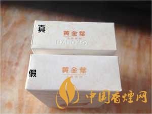 黃金葉天葉真假識別