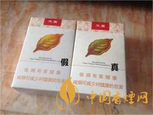 黃金葉天葉真假識別