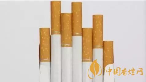 香煙和雪茄哪個(gè)好抽？香煙和雪茄八大區(qū)別介紹2020