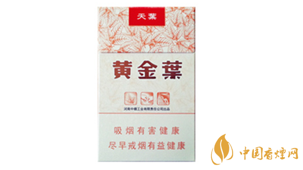 黃金葉天葉真假怎樣區(qū)分？黃金葉天葉真假識別