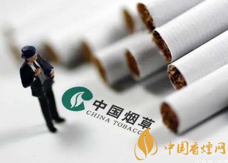 2020將通過(guò)提稅和漲價(jià)來(lái)控?zé)?維護(hù)公共場(chǎng)所健康！