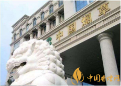 國家發(fā)話了：煙草系統(tǒng)腐敗制度不夠透明必須整治！